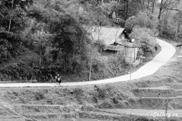 Ảnh Trắng Đen 3532