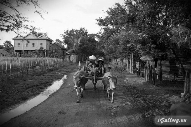 Ảnh Trắng Đen 734