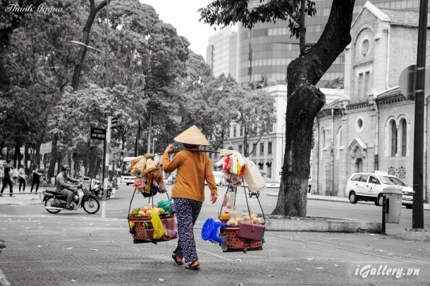 Ảnh Trắng Đen 3528