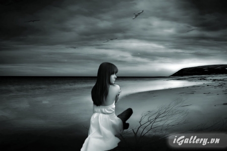 Ảnh Trắng Đen 736