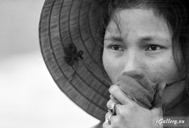 Ảnh Tư Liệu 3129