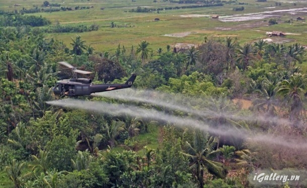 Ảnh Tư Liệu 3133