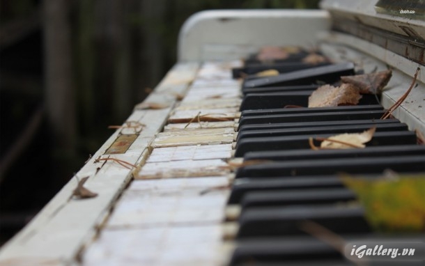 Giải trí, phim ảnh, âm nhạc 2997