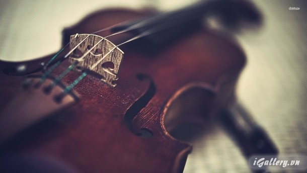 Giải trí, phim ảnh, âm nhạc 2972