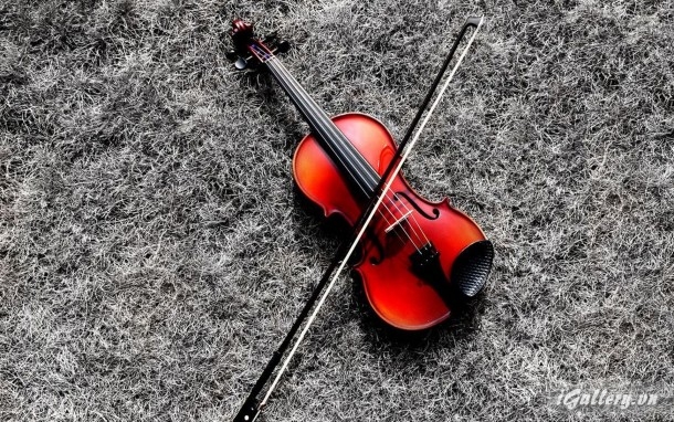 Giải trí, phim ảnh, âm nhạc 3019