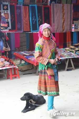 Người Đẹp 3700