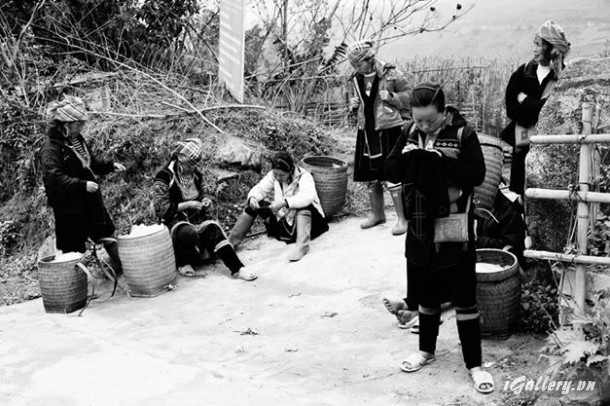 Người Đẹp 3714