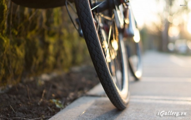 Nhiếp Ảnh, hội hoạ 211