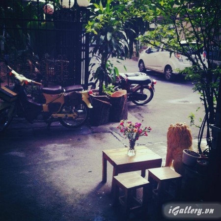 Nhiếp Ảnh, hội hoạ 3748