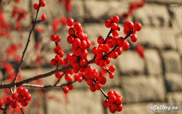 Nhiếp Ảnh, hội hoạ 248