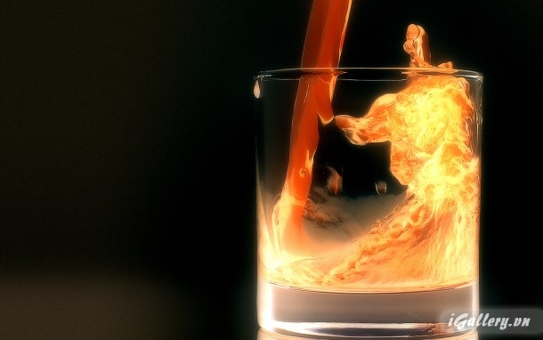 Nhiếp Ảnh, hội hoạ 61