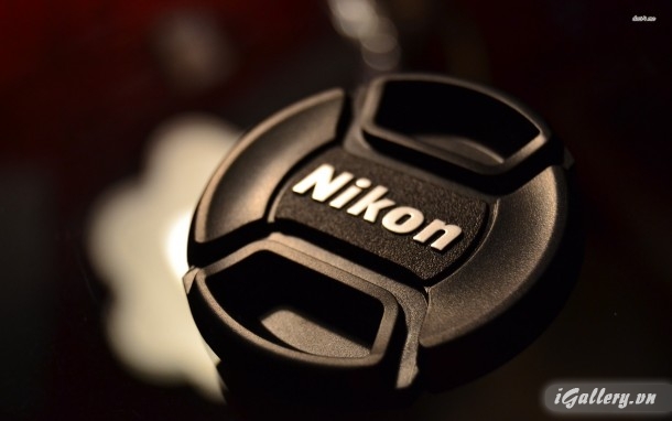 Nhiếp Ảnh, hội hoạ 25