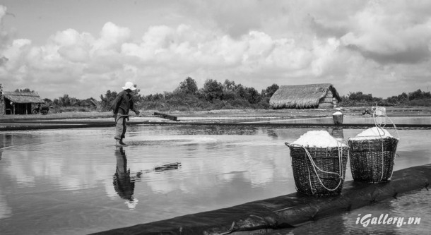 Nhiếp Ảnh, hội hoạ 3740