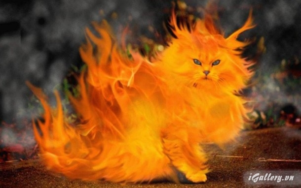 Nhiếp Ảnh, hội hoạ 73