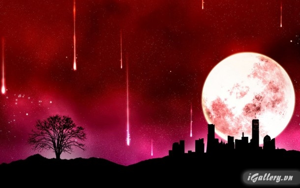 Nhiếp Ảnh, hội hoạ 110