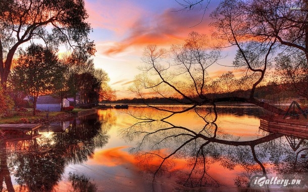 Nhiếp Ảnh, hội hoạ 135