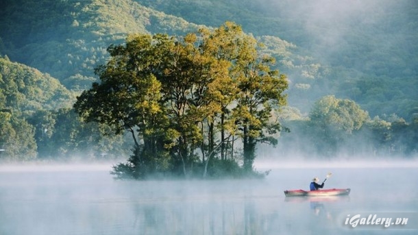 Nhiếp Ảnh, hội hoạ 241