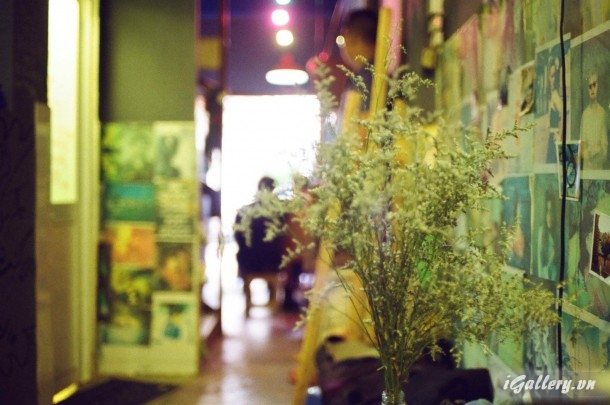 Nhiếp Ảnh, hội hoạ 3730