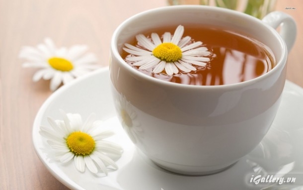 Nhiếp Ảnh, hội hoạ 18