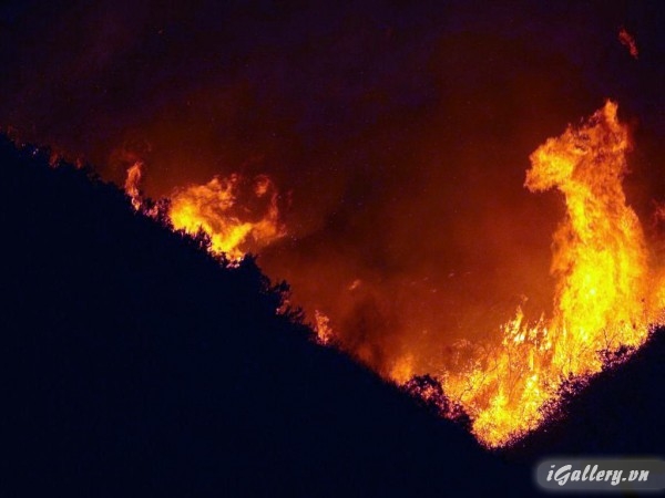 Nhiếp Ảnh, hội hoạ 199