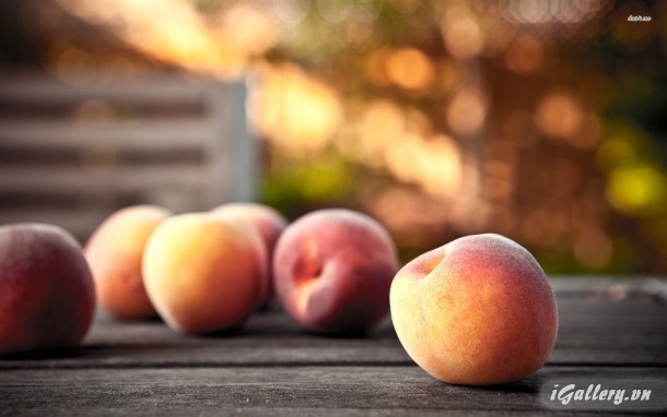 Nhiếp Ảnh, hội hoạ 264