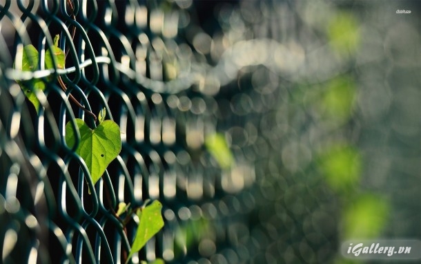 Nhiếp Ảnh, hội hoạ 35