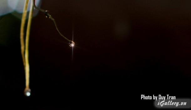 Nhiếp Ảnh, hội hoạ 3739