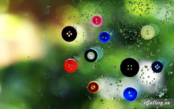 Nhiếp Ảnh, hội hoạ 17