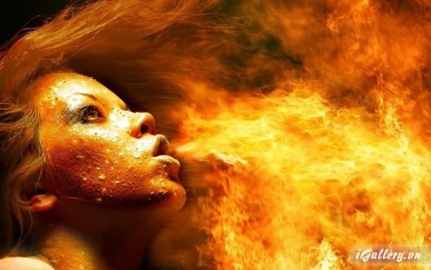 Nhiếp Ảnh, hội hoạ 274