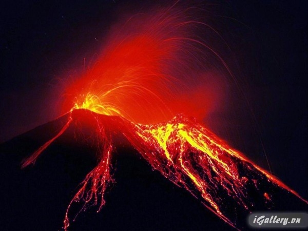 Nhiếp Ảnh, hội hoạ 167