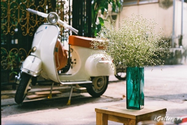 Nhiếp Ảnh, hội hoạ 3747