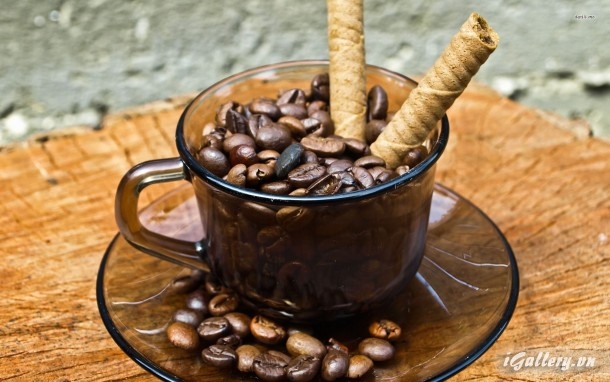 Nhiếp Ảnh, hội hoạ 218