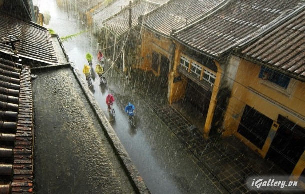 Nhiếp Ảnh, hội hoạ 44