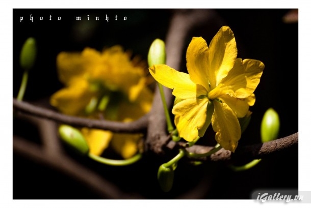 Nhiếp Ảnh, hội hoạ 45