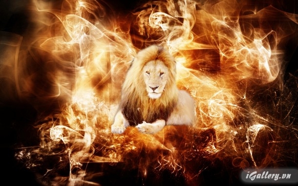 Nhiếp Ảnh, hội hoạ 69