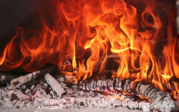 Nhiếp Ảnh, hội hoạ 92