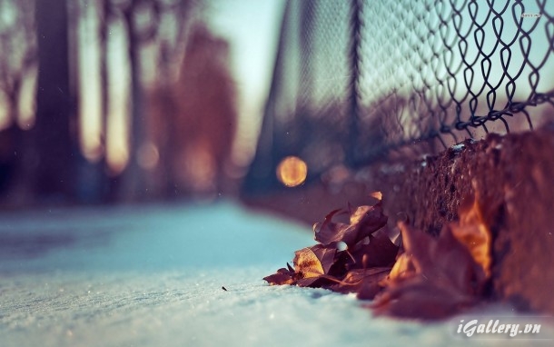 Nhiếp Ảnh, hội hoạ 232