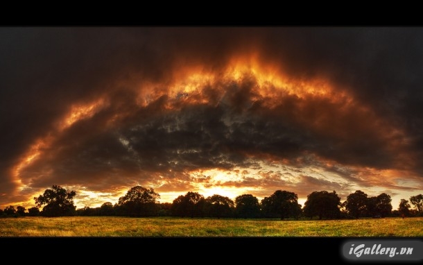 Nhiếp Ảnh, hội hoạ 99