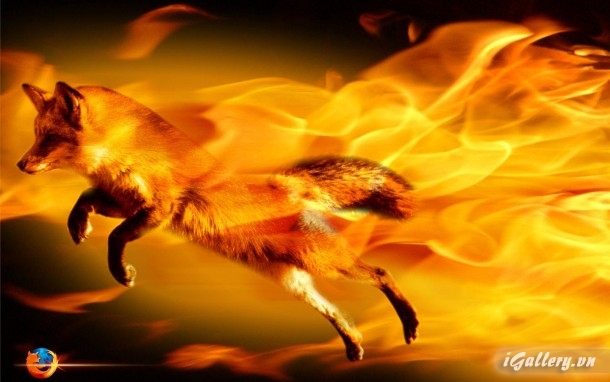 Nhiếp Ảnh, hội hoạ 127