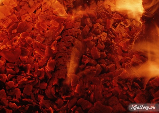 Nhiếp Ảnh, hội hoạ 83