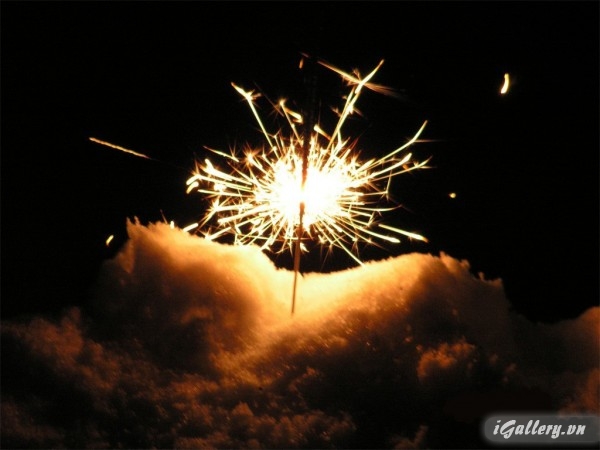 Nhiếp Ảnh, hội hoạ 90