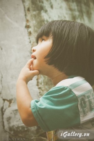 Nhiếp Ảnh, hội hoạ 3752