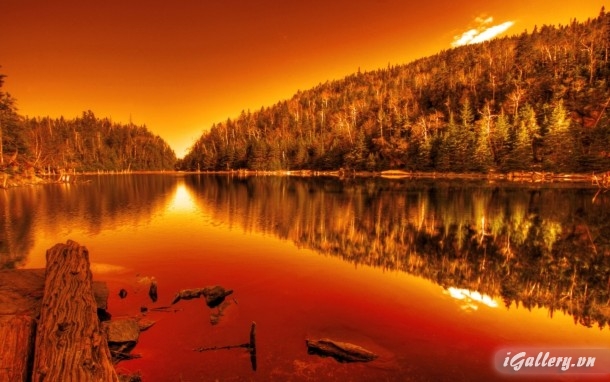 Nhiếp Ảnh, hội hoạ 96