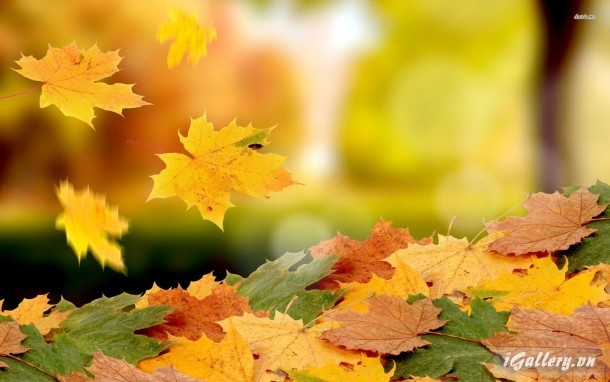 Nhiếp Ảnh, hội hoạ 42