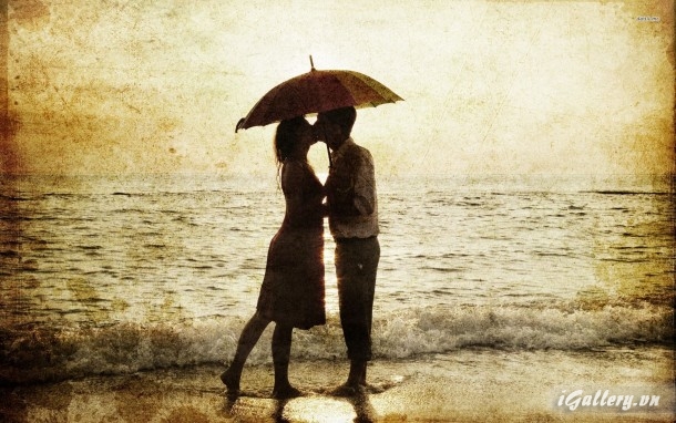 Nhiếp Ảnh, hội hoạ 242