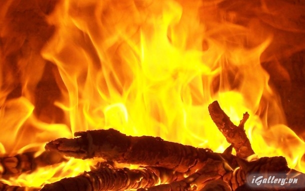 Nhiếp Ảnh, hội hoạ 187