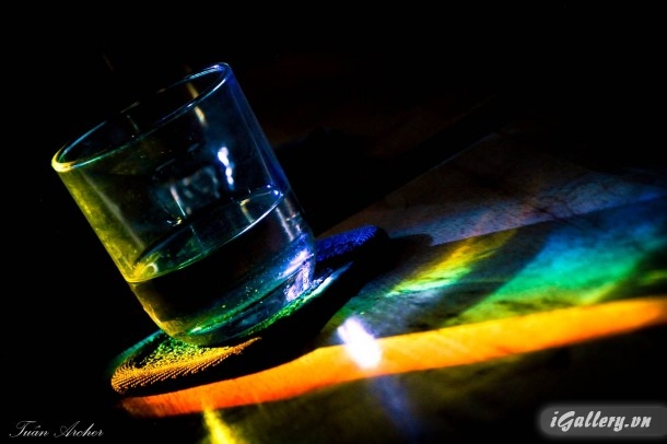 Nhiếp Ảnh, hội hoạ 3753