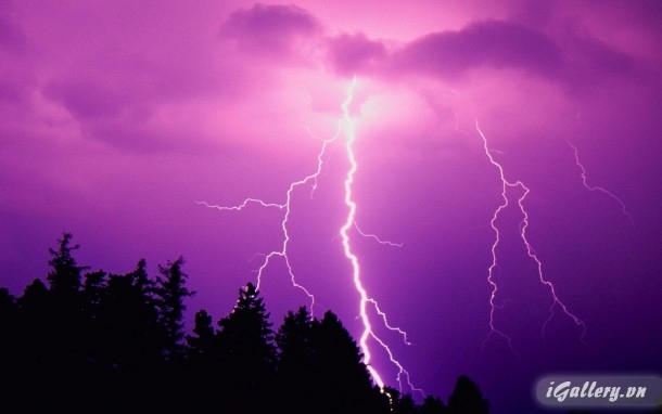 Nhiếp Ảnh, hội hoạ 87