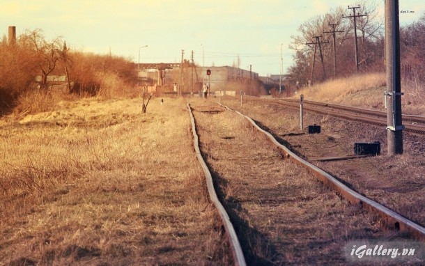 Nhiếp Ảnh, hội hoạ 188