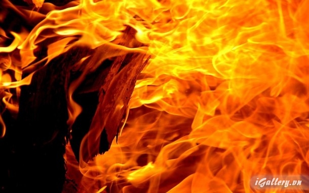 Nhiếp Ảnh, hội hoạ 212